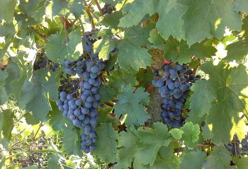 צימר Agriturismo Le Giarine