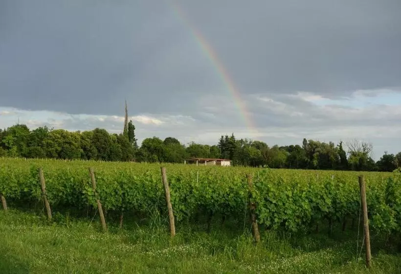 ベッドアンドブレックファースト Agriturismo Le Giarine