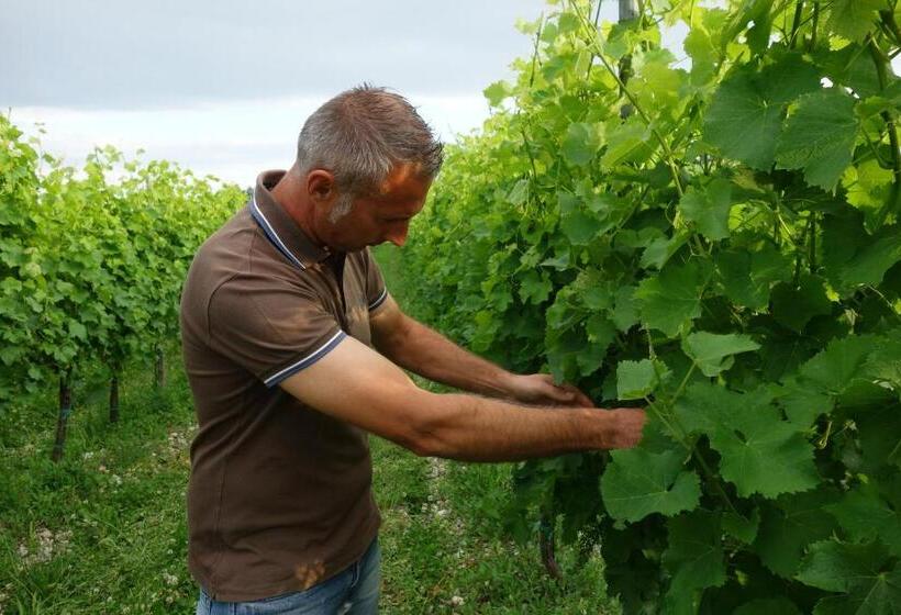 צימר Agriturismo Le Giarine