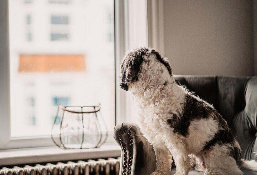 Отель The Ship Inn