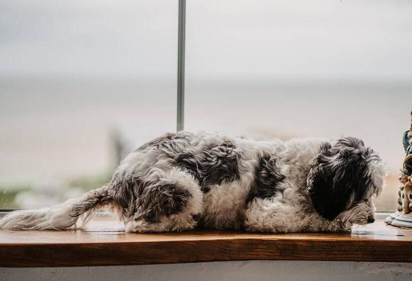 Отель The Ship Inn