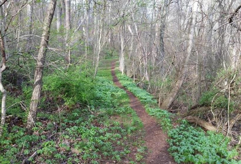 Mountain Home Bed & Breakfast