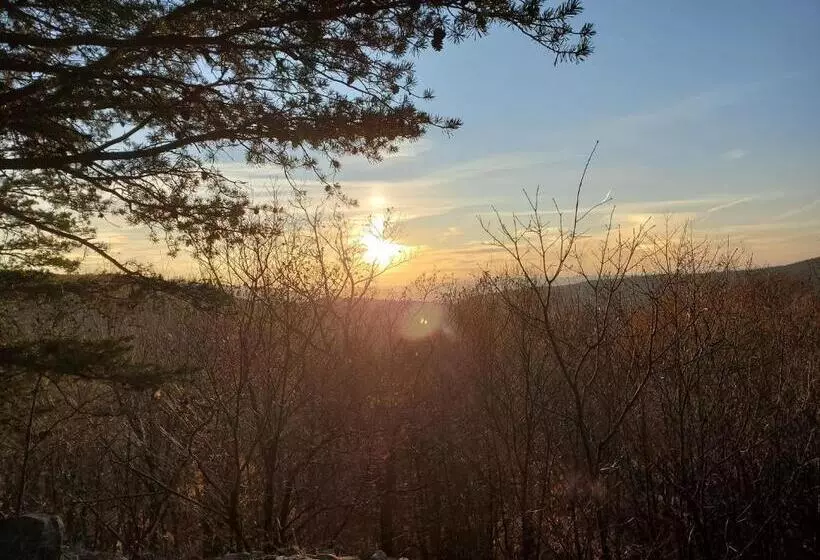 Mountain Home Bed & Breakfast