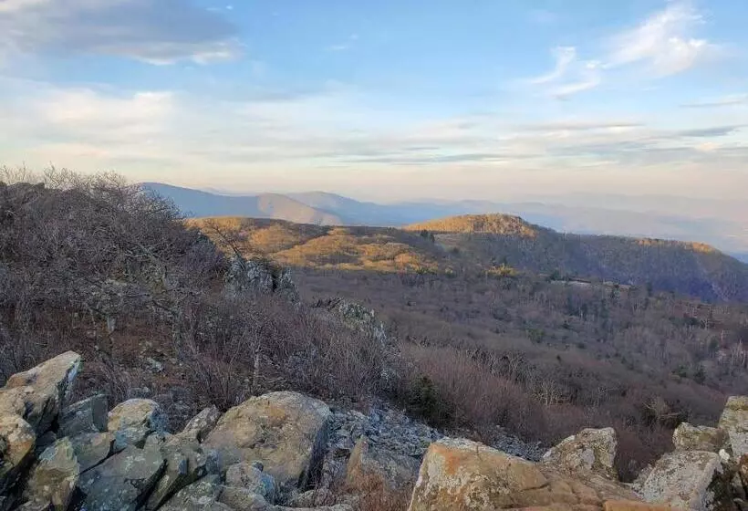 Mountain Home Bed & Breakfast