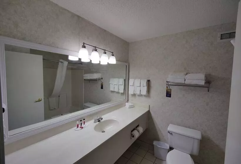 酒店 Baymont By Wyndham Albany