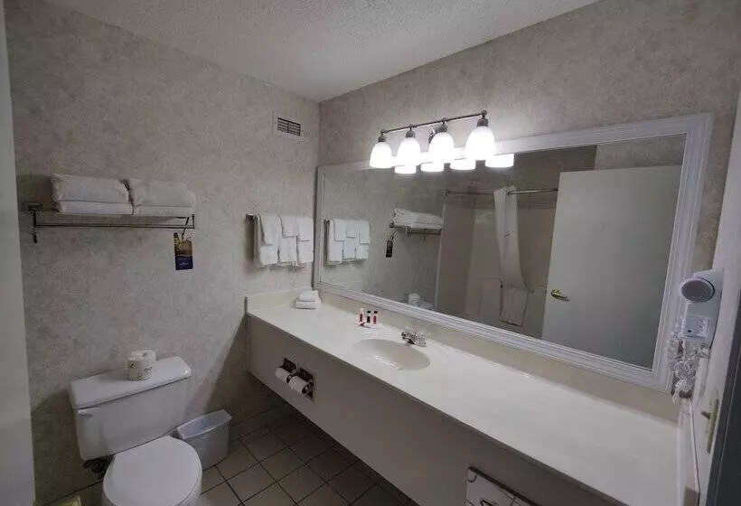 酒店 Baymont By Wyndham Albany