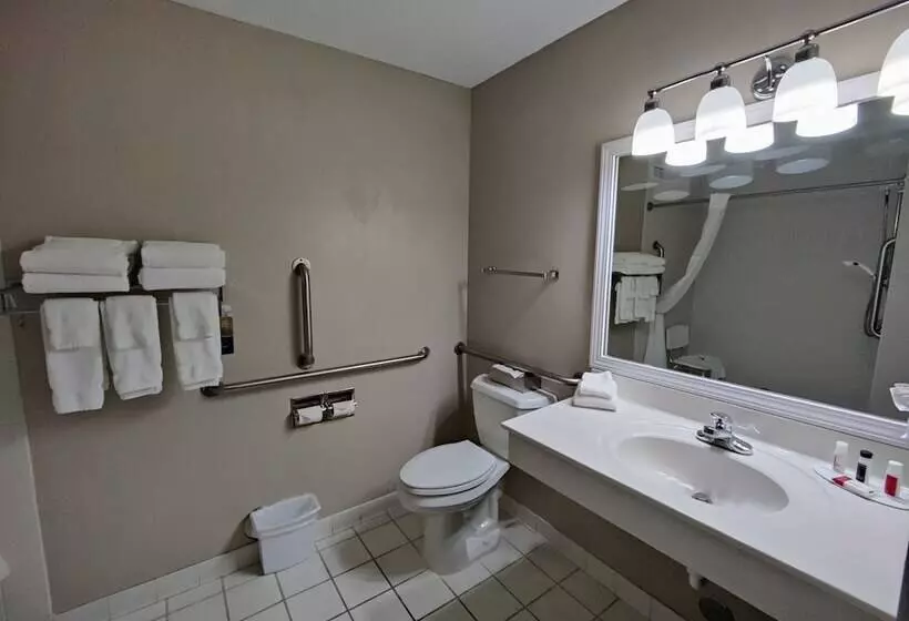 酒店 Baymont By Wyndham Albany