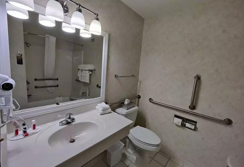 酒店 Baymont By Wyndham Albany