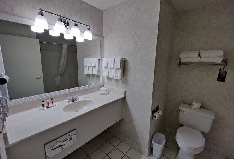 فندق Baymont By Wyndham Albany