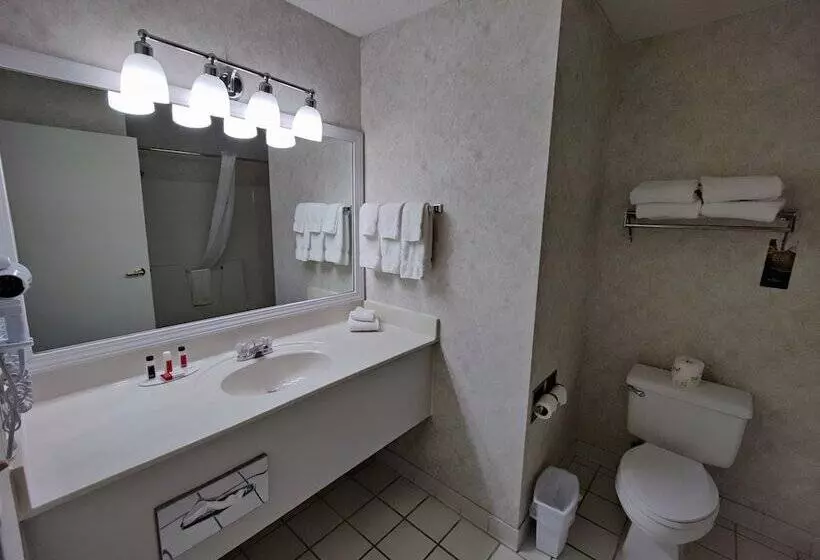 酒店 Baymont By Wyndham Albany