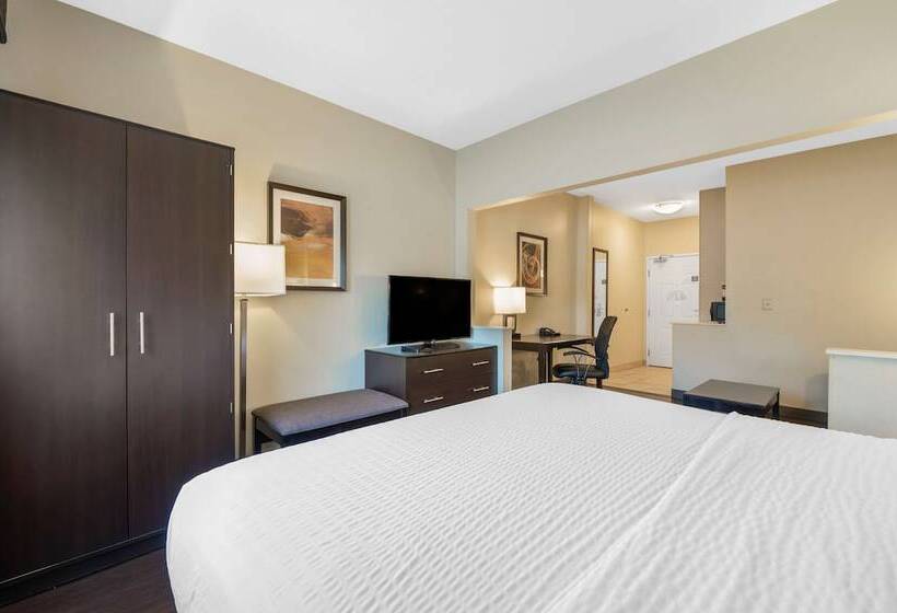 호텔 Best Western Hilliard Inn & Suites