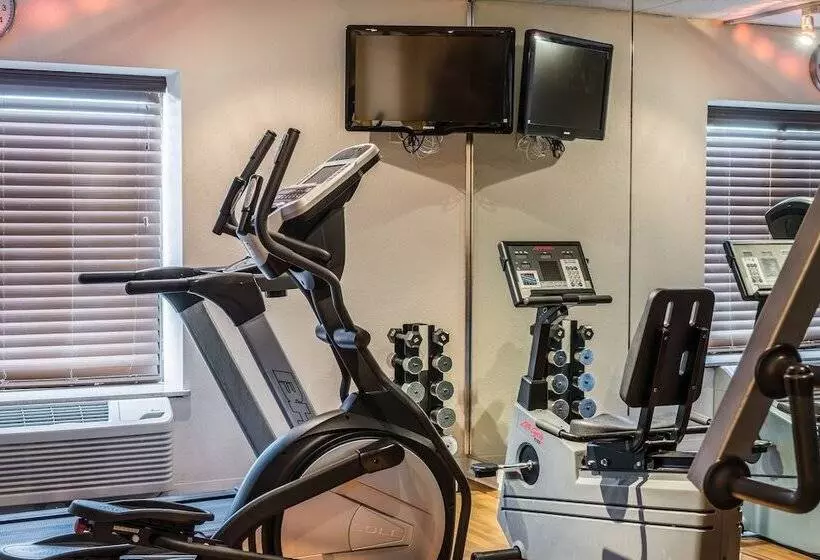 בית מלון כפרי Comfort Inn Grand Rapids Airport