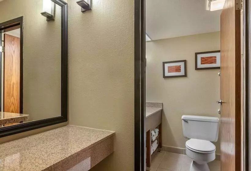בית מלון כפרי Comfort Inn Grand Rapids Airport