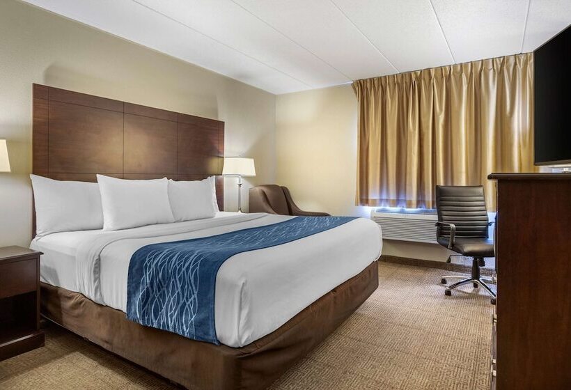 هتل Comfort Inn Grand Rapids Airport