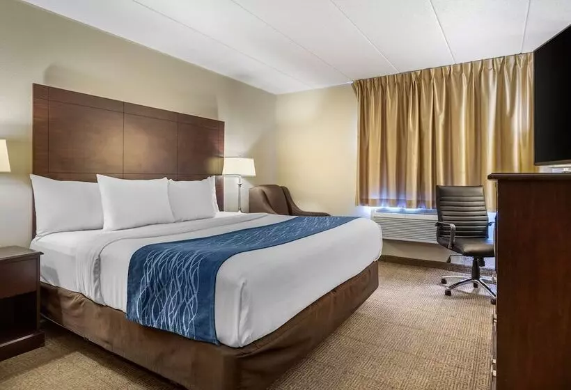 בית מלון כפרי Comfort Inn Grand Rapids Airport