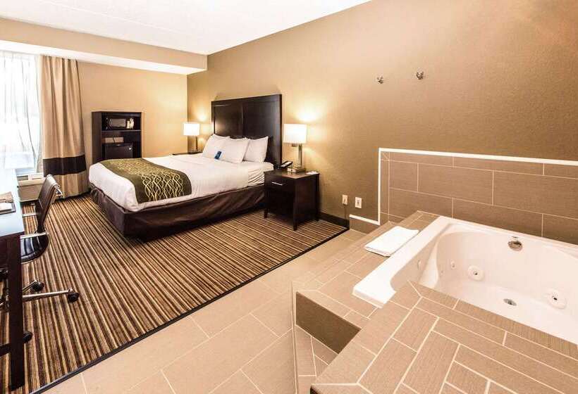 فندق Comfort Inn Lehigh Valley West