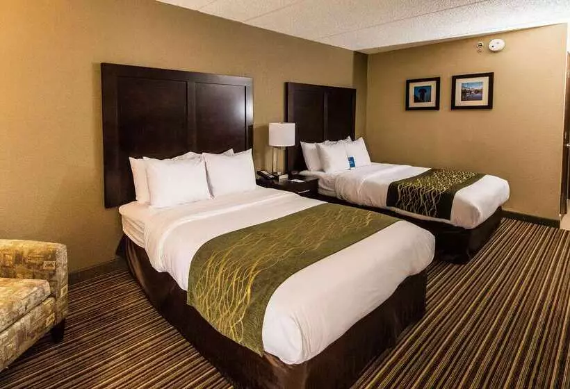 호텔 Comfort Inn Lehigh Valley West