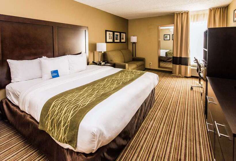 فندق Comfort Inn Lehigh Valley West