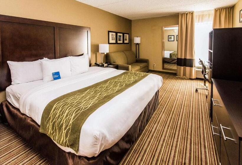 فندق Comfort Inn Lehigh Valley West