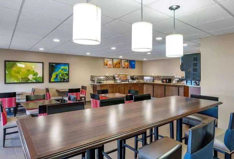 Hotel Comfort Inn Hamburg Area I 75 Lexington