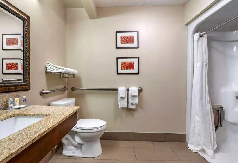 Hotel Comfort Inn Hamburg Area I 75 Lexington