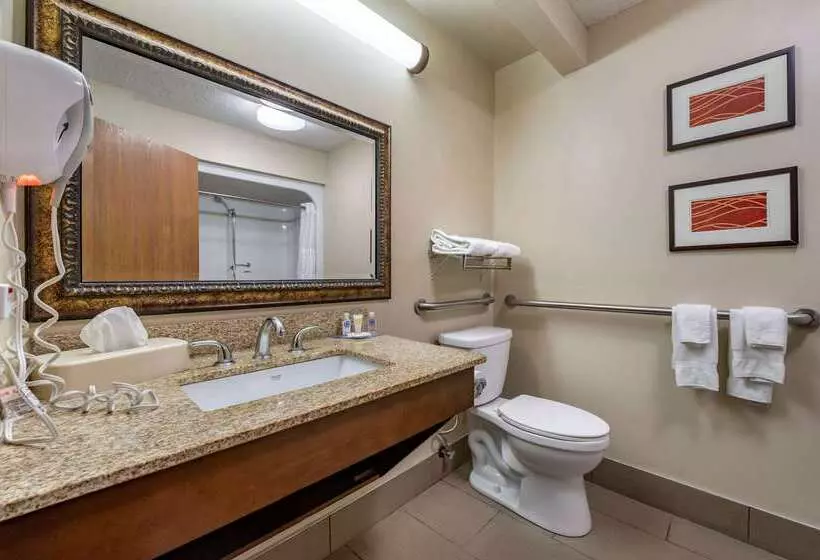 Hotel Comfort Inn Hamburg Area I 75 Lexington