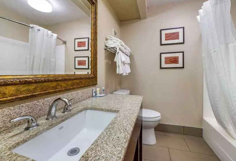 Hotel Comfort Inn Hamburg Area I 75 Lexington