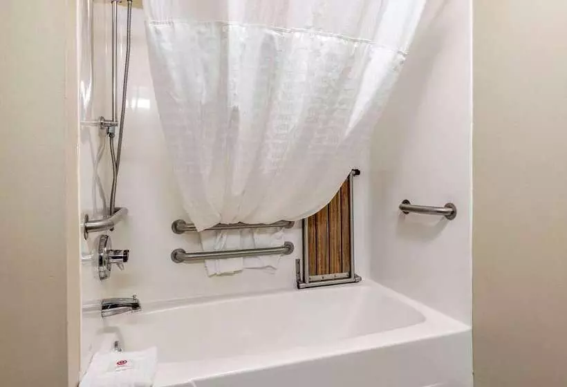 Hotel Comfort Inn Hamburg Area I 75 Lexington