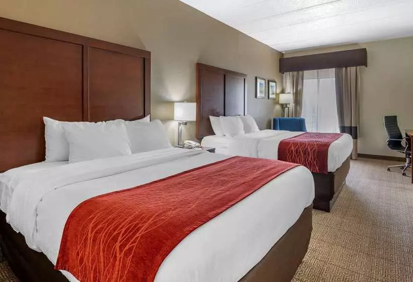 Hotel Comfort Inn Hamburg Area I 75 Lexington