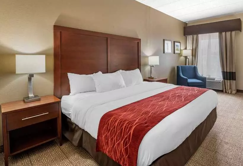 Hotel Comfort Inn Hamburg Area I 75 Lexington