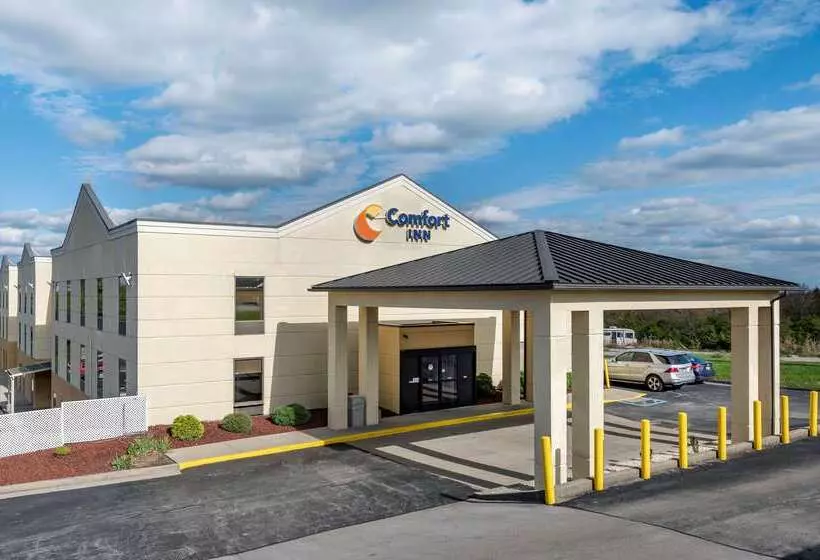 Hotel Comfort Inn Hamburg Area I 75 Lexington