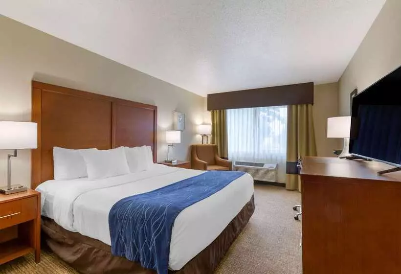 酒店 Comfort Inn Medford South