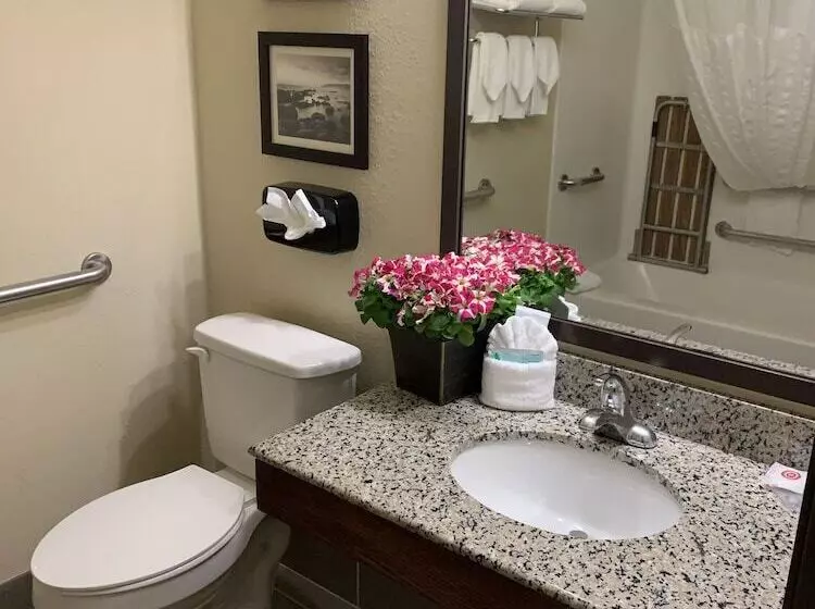 酒店 Comfort Inn Medford South