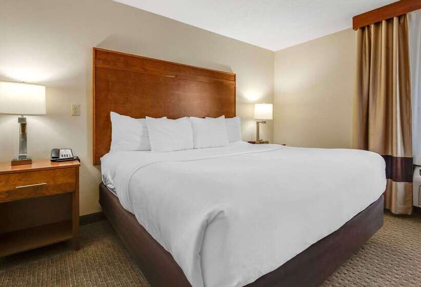 ホテル Comfort Inn