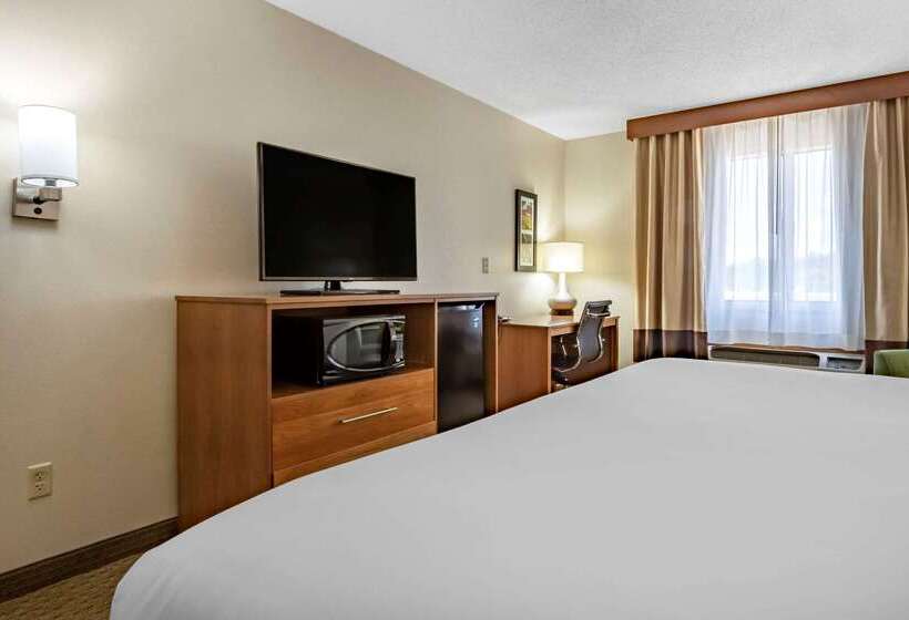 ホテル Comfort Inn