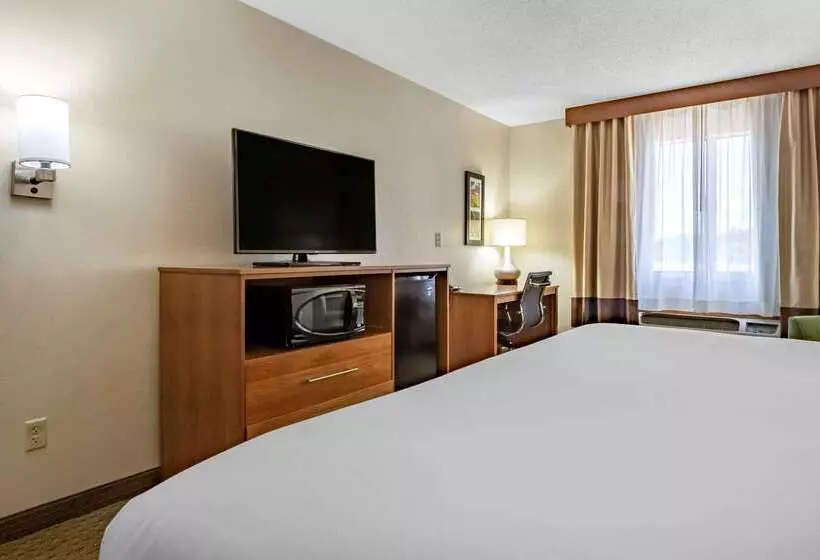 Отель Comfort Inn