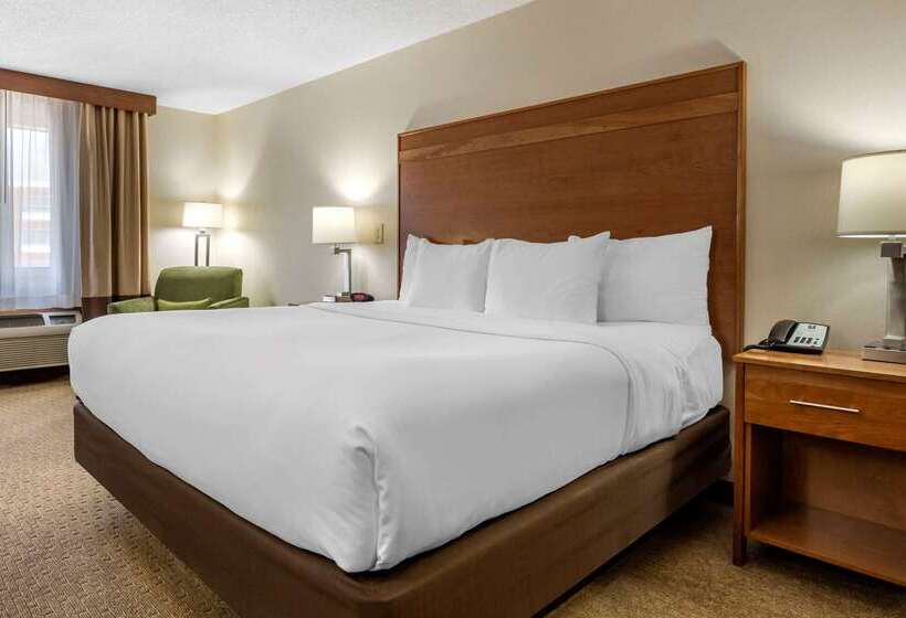 ホテル Comfort Inn