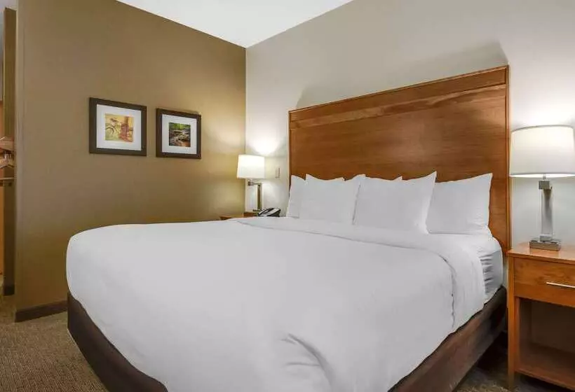 Отель Comfort Inn