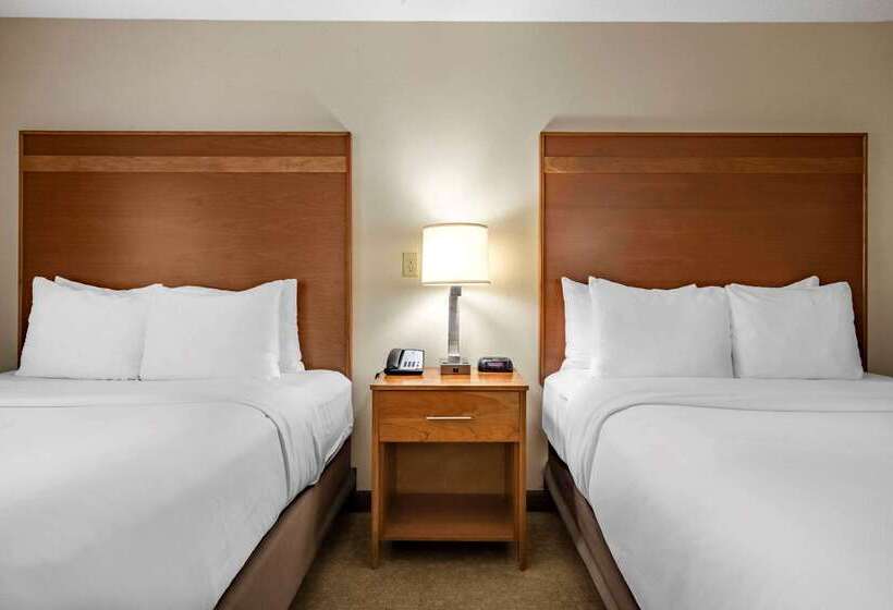 ホテル Comfort Inn