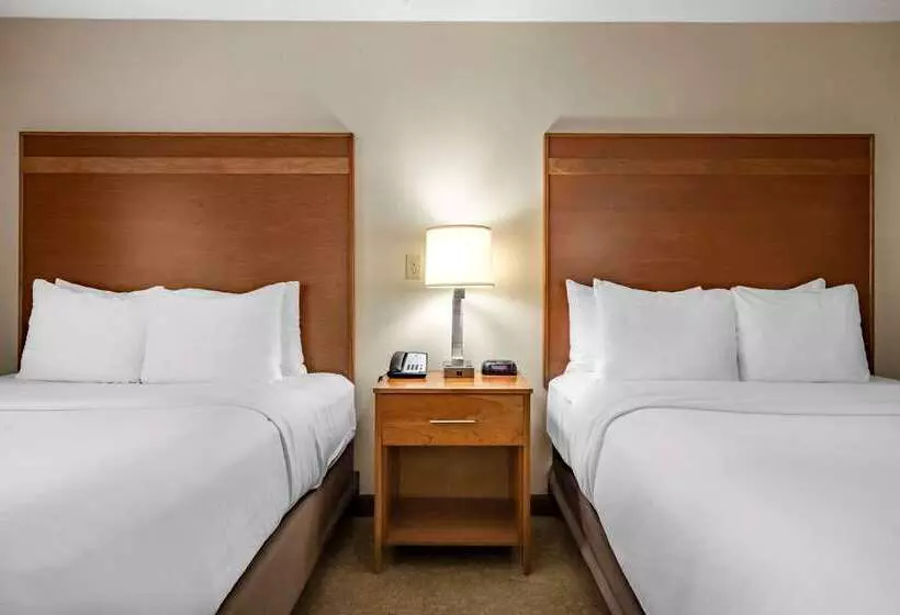 Отель Comfort Inn