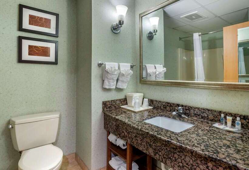 בית מלון כפרי Comfort Suites