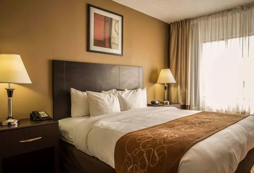 Отель Comfort Suites