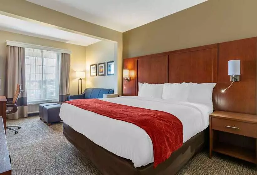 فندق Comfort Suites Near Camp Lejeune