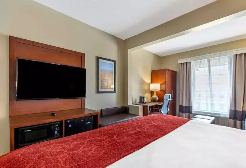 فندق Comfort Suites Near Camp Lejeune