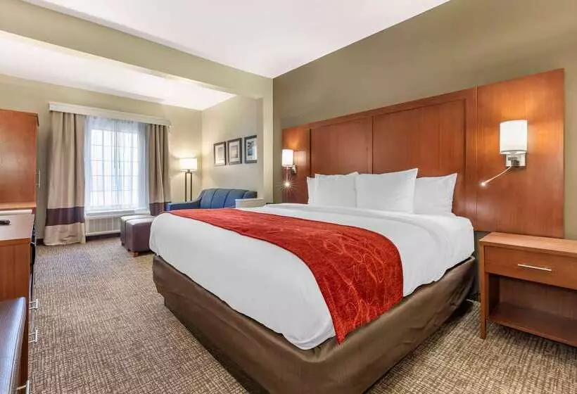 فندق Comfort Suites Near Camp Lejeune