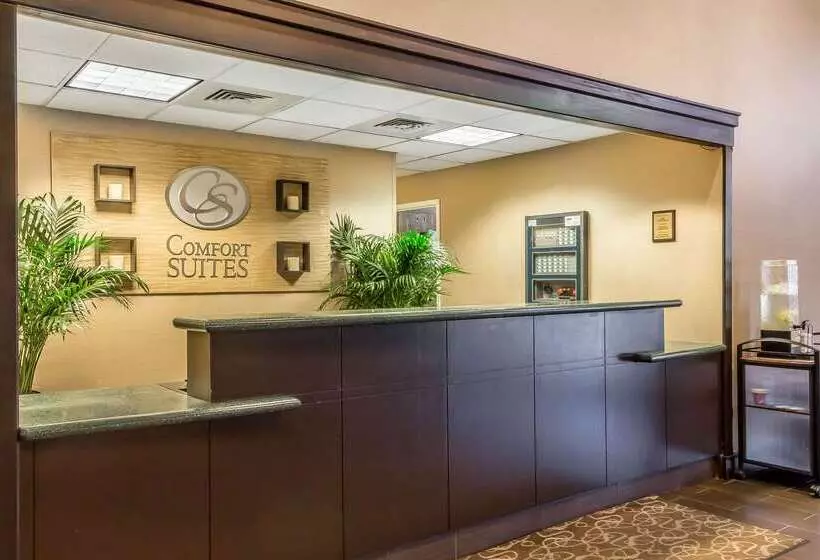 호텔 Comfort Suites Near Casinos