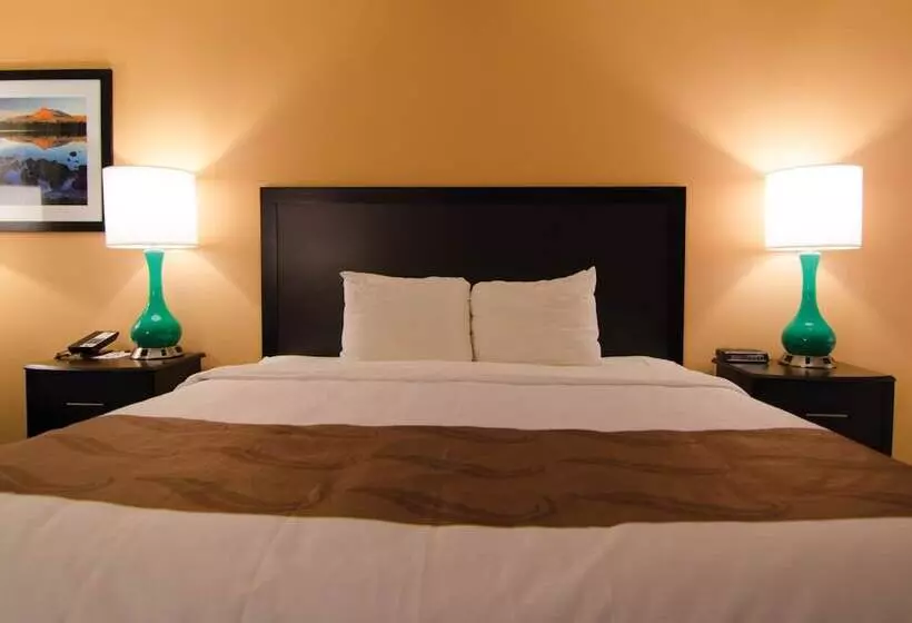 Отель Cottage Grove Inn