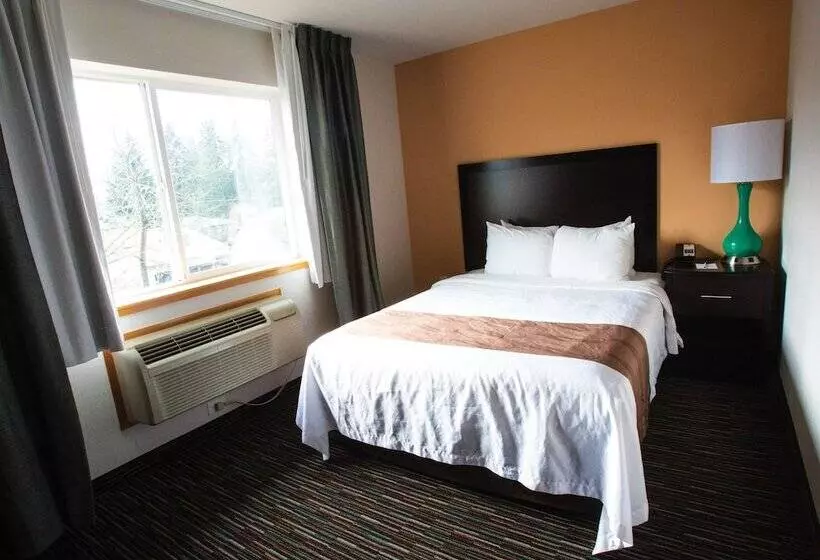 Отель Cottage Grove Inn