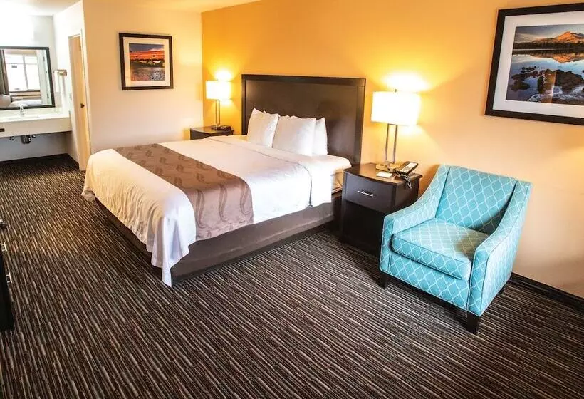 Отель Cottage Grove Inn