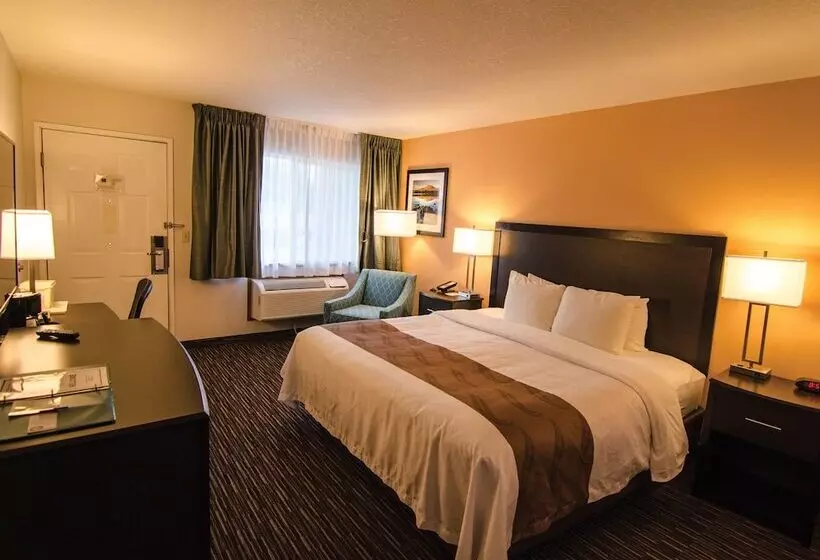 Отель Cottage Grove Inn